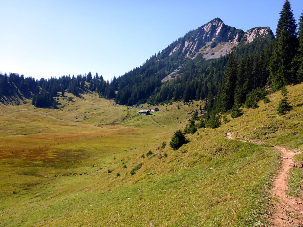 Bayerische Wildalm mit Halserspitz im Hintergrund.