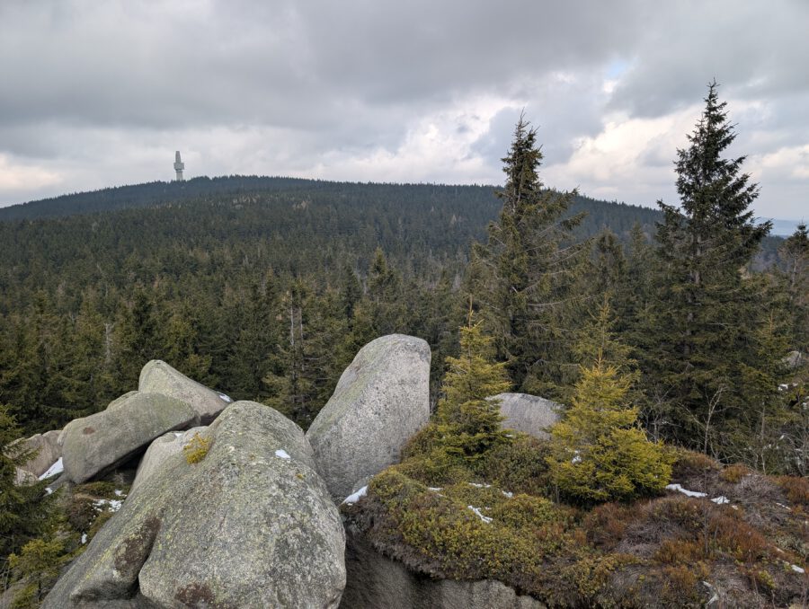 Blick vom Nußhardt zum Schneeberg.