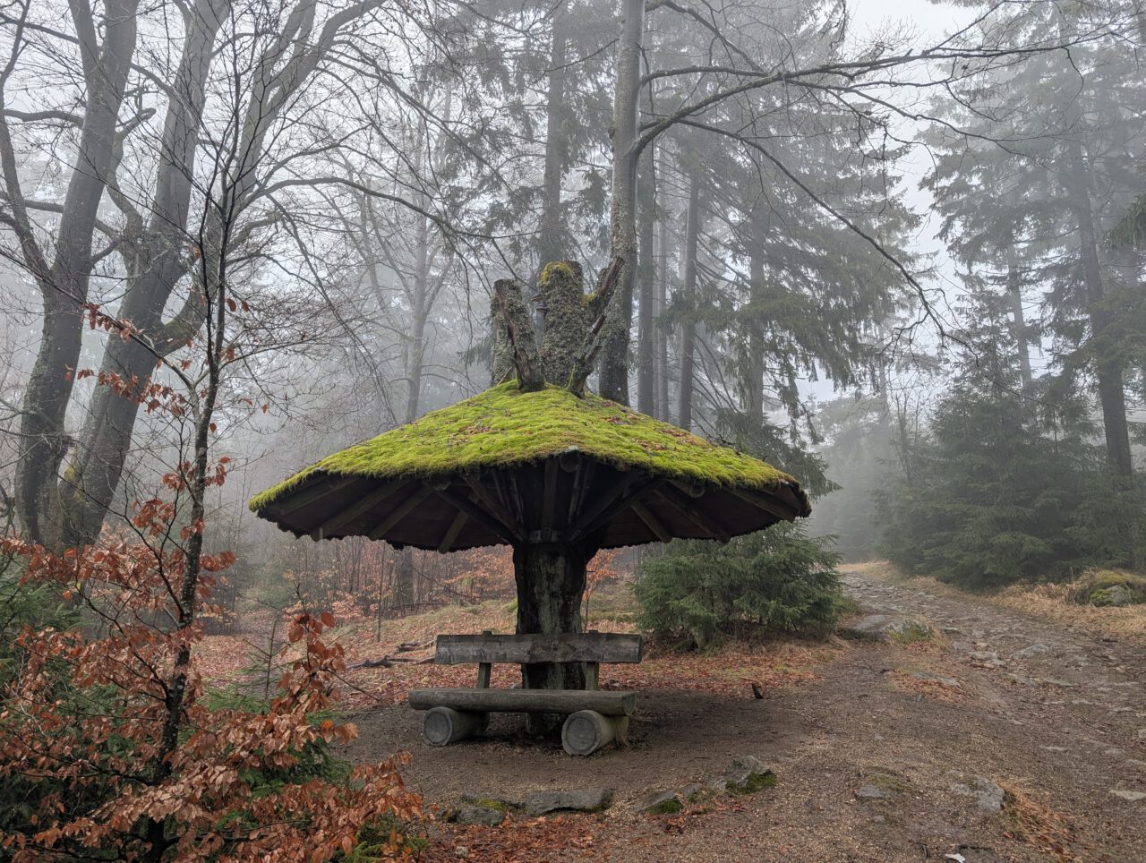 Steinpilzunterstand im Steinwald